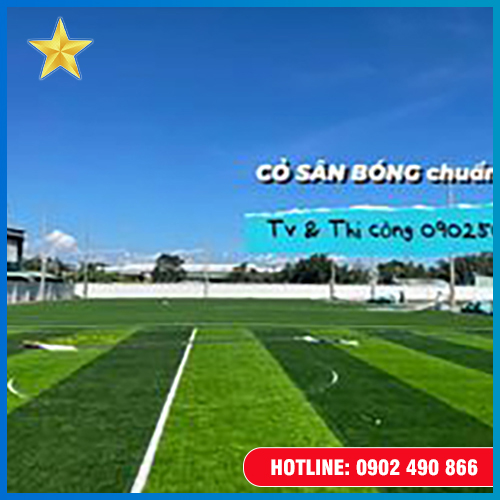 Thảm sân bóng