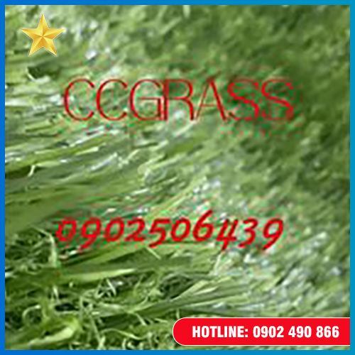 Thảm cỏ sân bóng